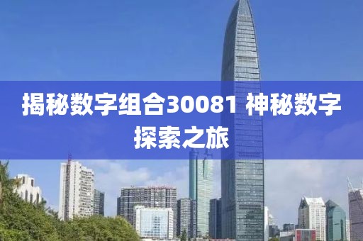 揭秘數字組合30081 神秘數字探索之旅