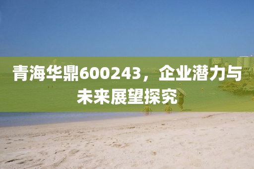 青海華鼎600243，企業(yè)潛力與未來展望探究