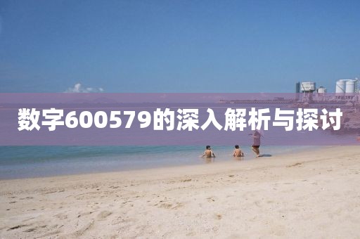 數字600579的深入解析與探討