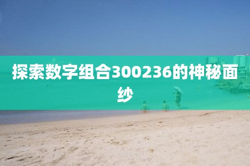 探索數(shù)字組合300236的神秘面紗