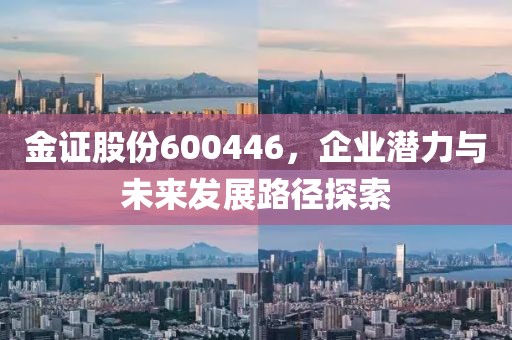 金證股份600446，企業(yè)潛力與未來(lái)發(fā)展路徑探索