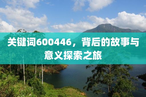 關(guān)鍵詞600446，背后的故事與意義探索之旅