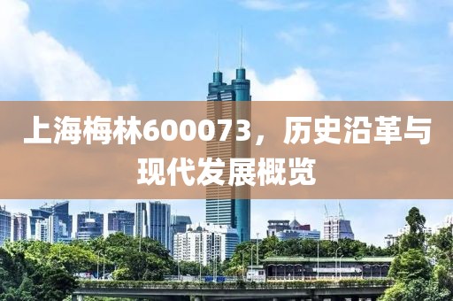 上海梅林600073，歷史沿革與現代發展概覽