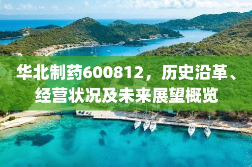 華北制藥600812，歷史沿革、經(jīng)營狀況及未來展望概覽