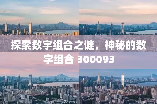 探索數(shù)字組合之謎，神秘的數(shù)字組合 300093