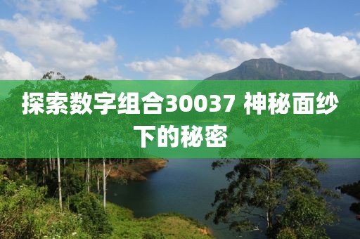 探索數字組合30037 神秘面紗下的秘密