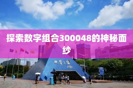 探索數(shù)字組合300048的神秘面紗