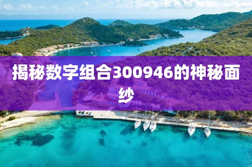 揭秘數字組合300946的神秘面紗