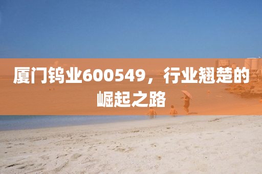 廈門鎢業600549，行業翹楚的崛起之路