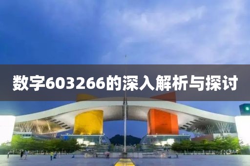 數(shù)字603266的深入解析與探討