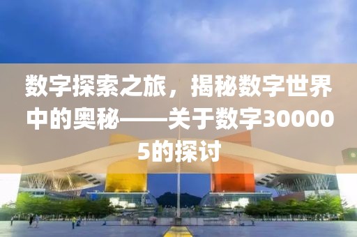 數字探索之旅，揭秘數字世界中的奧秘——關于數字300005的探討