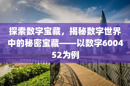 探索數(shù)字寶藏，揭秘?cái)?shù)字世界中的秘密寶藏——以數(shù)字600452為例