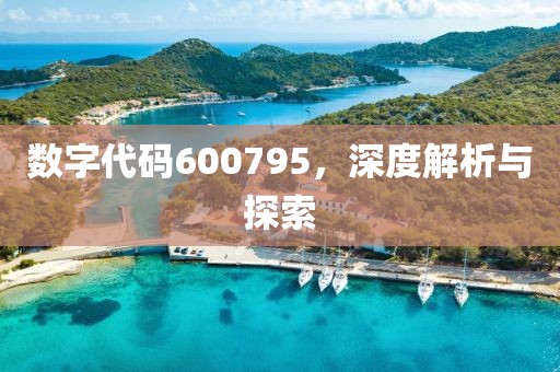 數(shù)字代碼600795，深度解析與探索