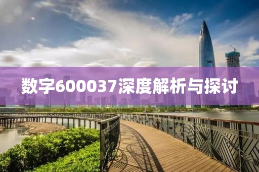 數字600037深度解析與探討