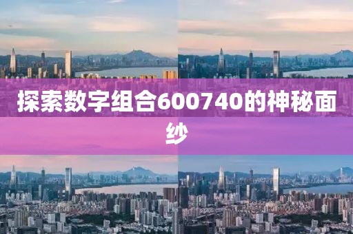 探索數字組合600740的神秘面紗