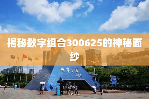 揭秘數字組合300625的神秘面紗