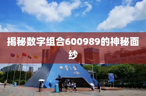 揭秘數字組合600989的神秘面紗