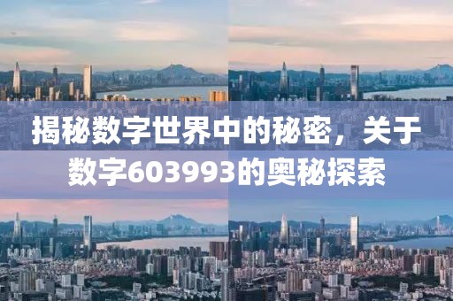 揭秘數(shù)字世界中的秘密，關(guān)于數(shù)字603993的奧秘探索