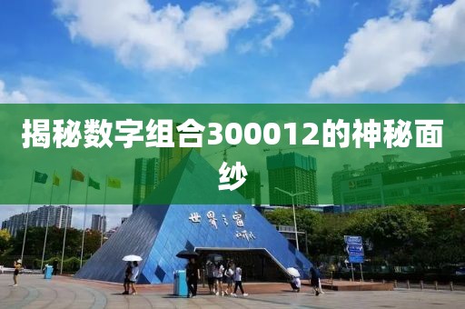 揭秘數字組合300012的神秘面紗