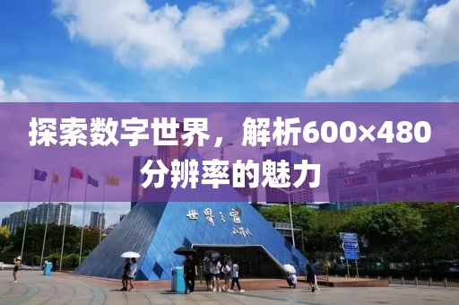 探索數(shù)字世界，解析600×480分辨率的魅力