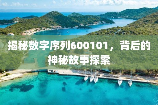 揭秘?cái)?shù)字序列600101，背后的神秘故事探索