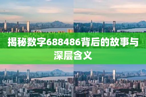 揭秘數字688486背后的故事與深層含義