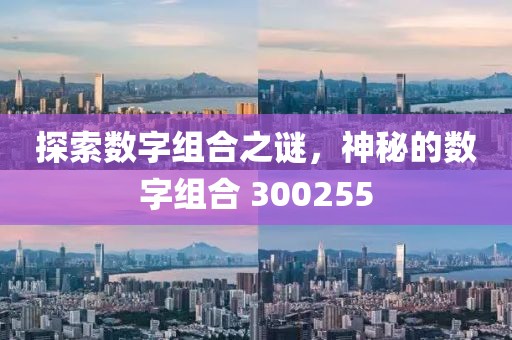 探索數字組合之謎，神秘的數字組合 300255