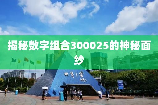 揭秘數字組合300025的神秘面紗