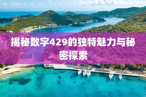 揭秘數字429的獨特魅力與秘密探索