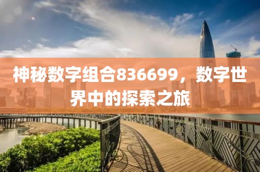 神秘數(shù)字組合836699，數(shù)字世界中的探索之旅