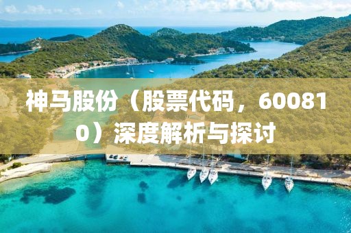 神馬股份（股票代碼，600810）深度解析與探討