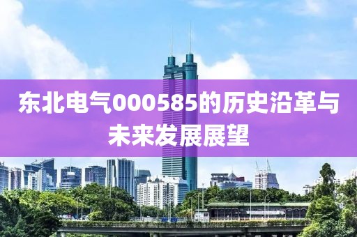 東北電氣000585的歷史沿革與未來(lái)發(fā)展展望