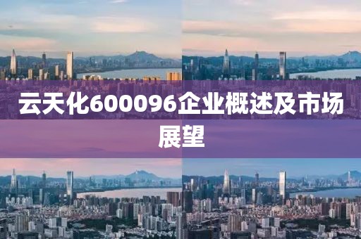 云天化600096企業(yè)概述及市場展望