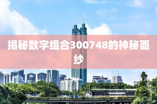 揭秘數(shù)字組合300748的神秘面紗