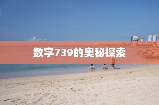 數字739的奧秘探索