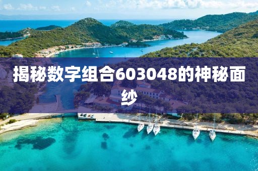 揭秘數(shù)字組合603048的神秘面紗