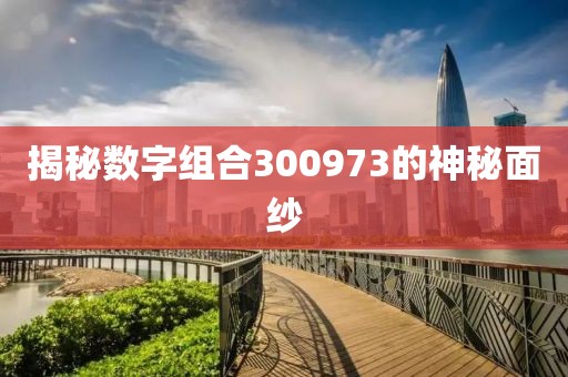 揭秘數(shù)字組合300973的神秘面紗