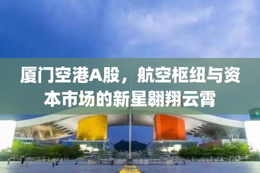 廈門空港A股，航空樞紐與資本市場的新星翱翔云霄