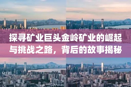 探尋礦業(yè)巨頭金嶺礦業(yè)的崛起與挑戰(zhàn)之路，背后的故事揭秘