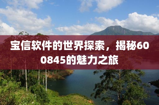 寶信軟件的世界探索，揭秘600845的魅力之旅