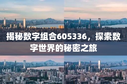 揭秘數(shù)字組合605336，探索數(shù)字世界的秘密之旅