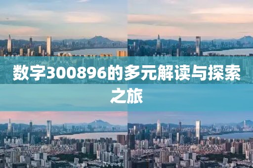 數字300896的多元解讀與探索之旅