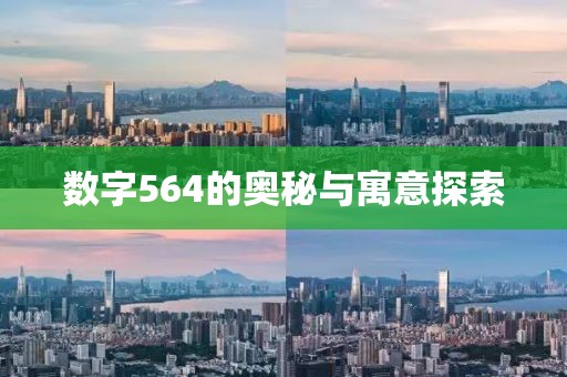 數(shù)字564的奧秘與寓意探索