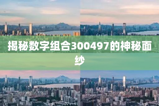 揭秘數(shù)字組合300497的神秘面紗