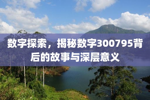 數字探索，揭秘數字300795背后的故事與深層意義