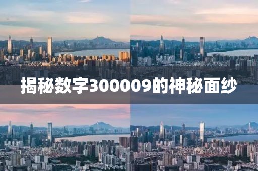 揭秘數(shù)字300009的神秘面紗