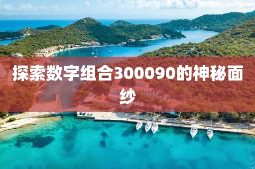 探索數(shù)字組合300090的神秘面紗