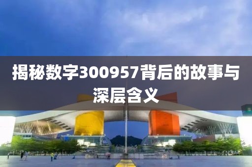 揭秘數字300957背后的故事與深層含義