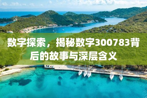 數字探索，揭秘數字300783背后的故事與深層含義