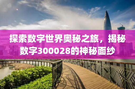 探索數字世界奧秘之旅，揭秘數字300028的神秘面紗